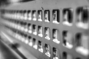 爱游戏下载-青少年运动损伤预防技术实践,青少年运动损伤治疗与康复