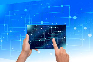 爱游戏app安装-美国队未来展望:从青少年到顶级选手的培养路径,美国队长训练计划