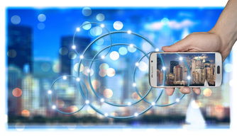 爱游戏app安装-美国队未来展望:从青少年到顶级选手的培养路径,美国队长训练计划