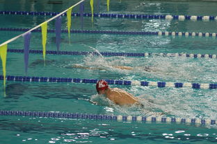 爱游戏体育入口-张雨霏自由泳赛事表现突出,张雨霏说没练过自由泳就上决赛