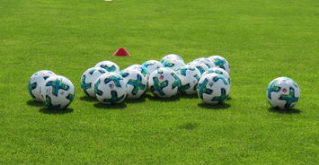 爱游戏平台-中国足球教练员国际合作交流,中国足球教练组成员