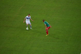 爱游戏体育官网-中国足球训练设施分布不均问题及解决方案,中国足球五大训练基地